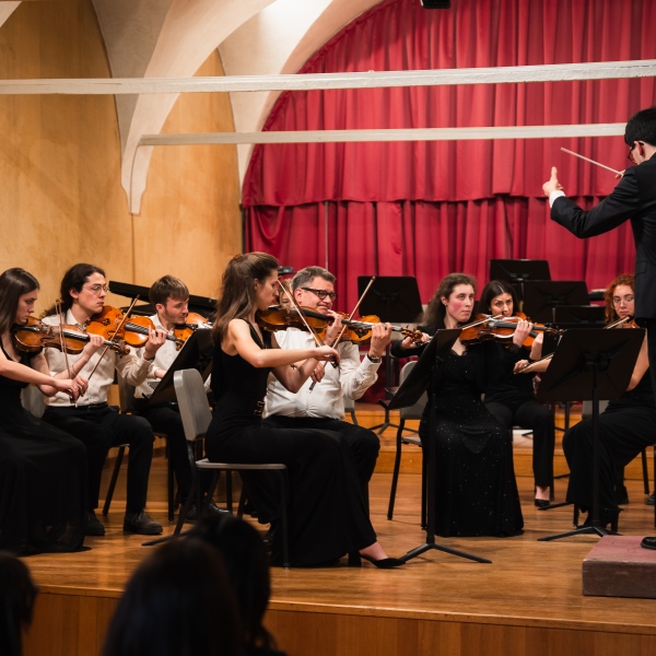 orchestra da camera