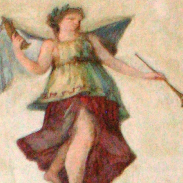 immagine cordellina